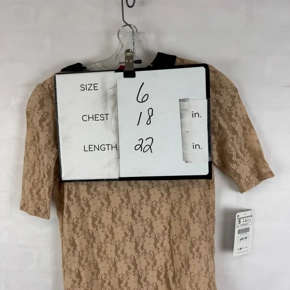 Zara Basic Beige Lace Peter Pan Collar Top Short Sleeve Size S NWT - Picture 2 of 12